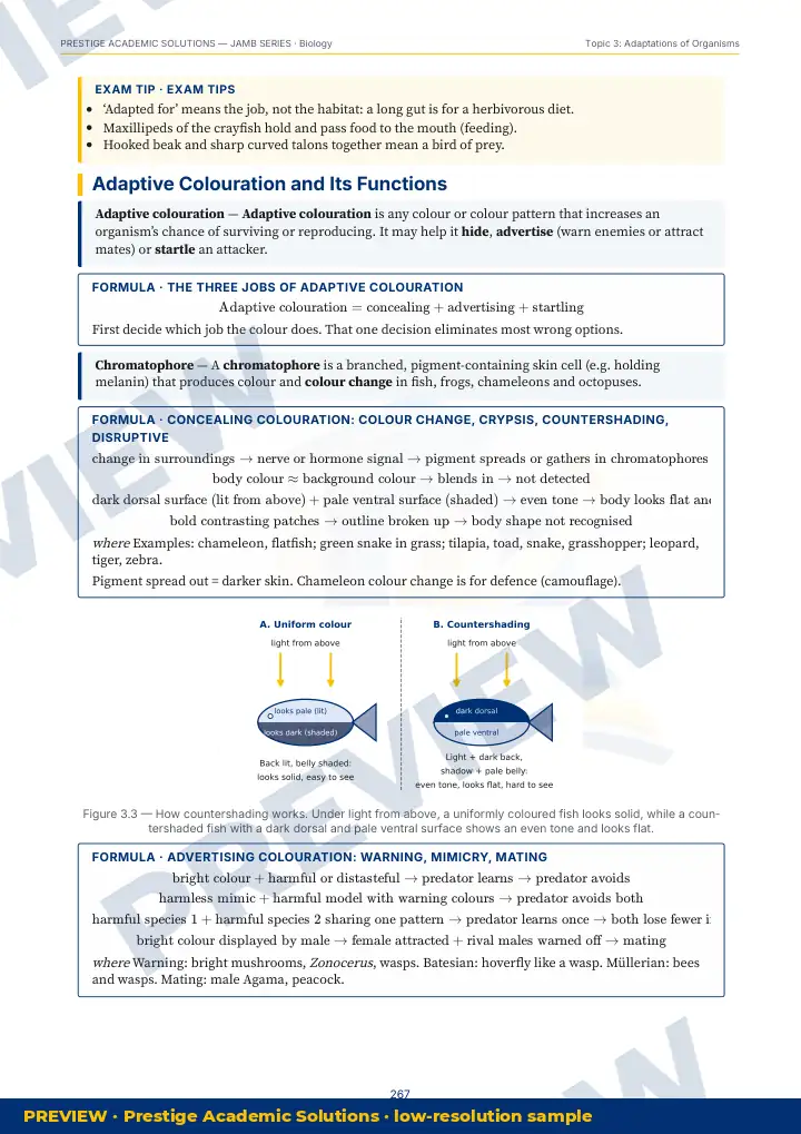Preview page: Clean diagrams — Biology — JAMB UTME Series