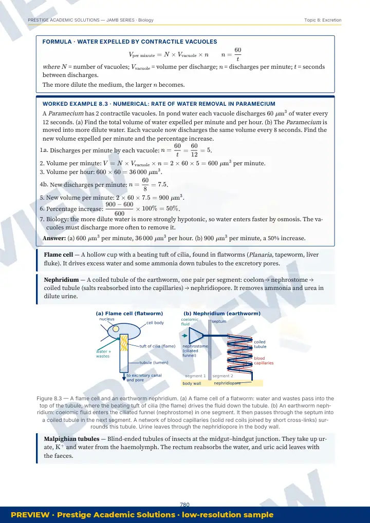 Preview page: Clean diagrams — Biology — JAMB UTME Series