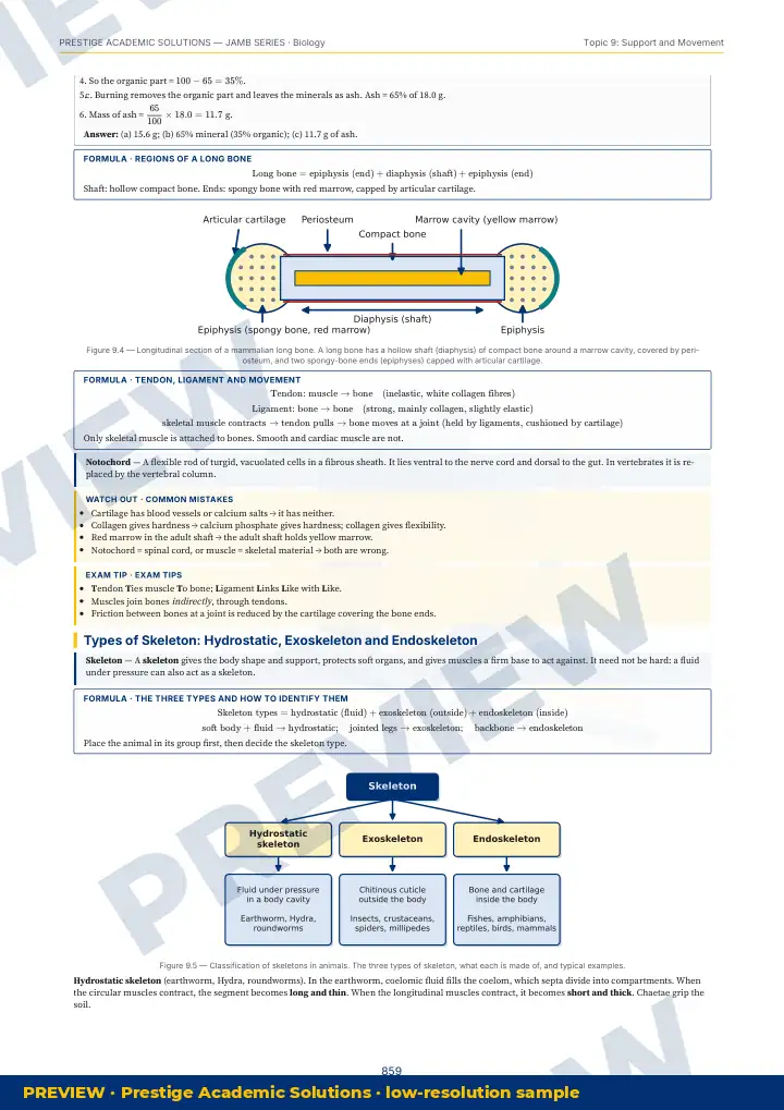 Preview page: Clean diagrams — Biology — JAMB UTME Series