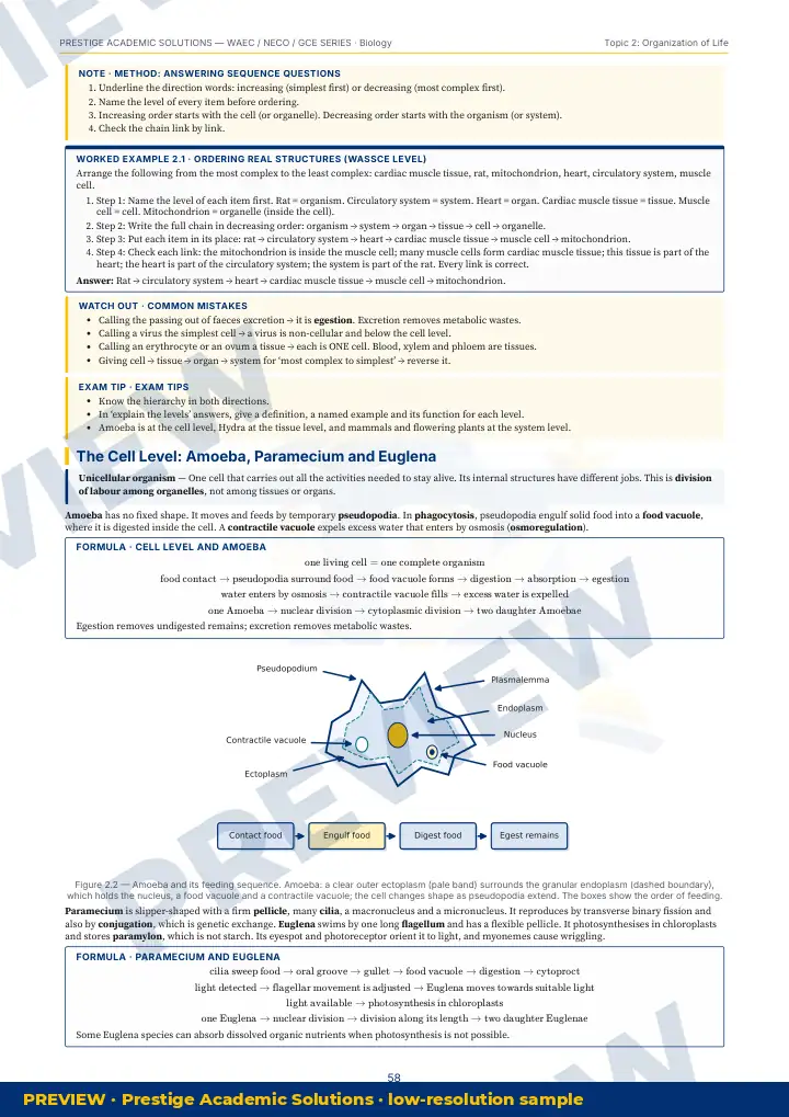 Preview page: Common mistakes — Biology — WAEC / NECO / GCE Series