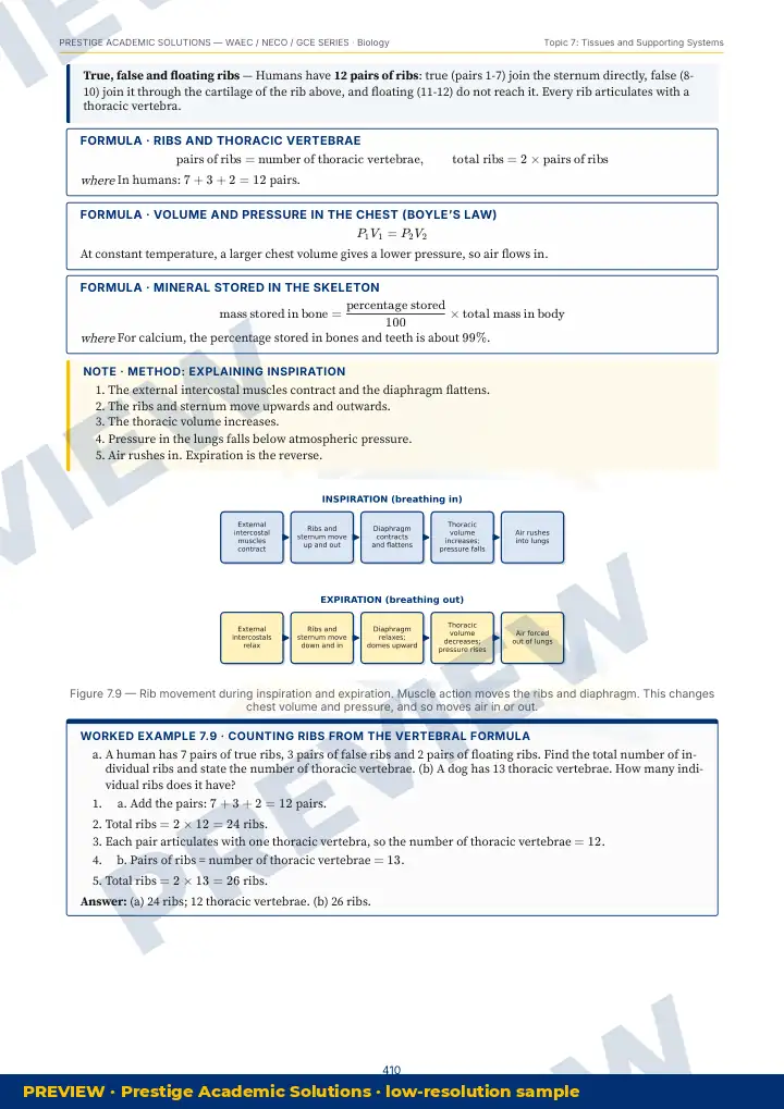 Preview page: Clean diagrams — Biology — WAEC / NECO / GCE Series