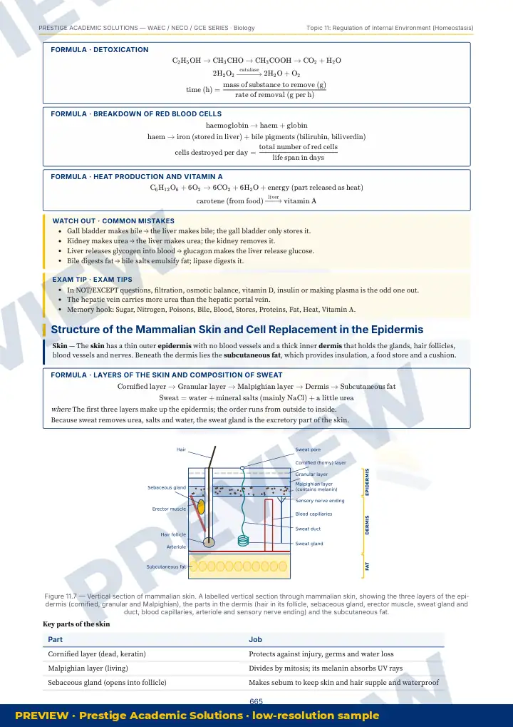 Preview page: Clean diagrams — Biology — WAEC / NECO / GCE Series